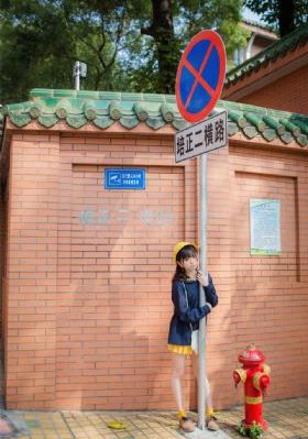 扫黑决不放弃_HD在线手机播放